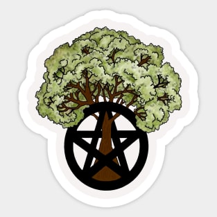 Pentacle Tree Sticker